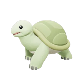 Tortoise