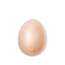 Egg