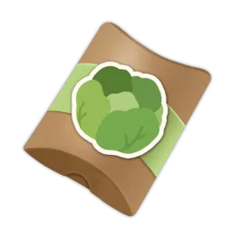 Lettuce Seed