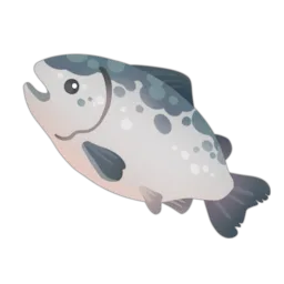 Atlantic Salmon