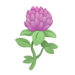 Clover
