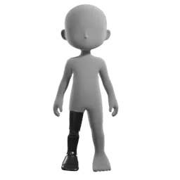 Prosthetic Leg