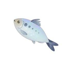 Allis Shad