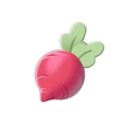 Radish