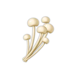 Enoki Mushrooms