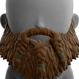 Braided Beard