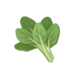 Spinach