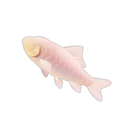 Haditha Cavefish