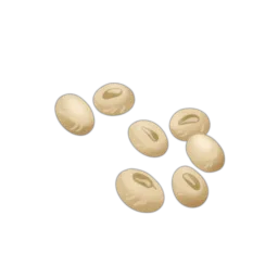 Soybeans