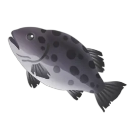 Giant Sea Bass