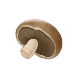 Portobello Mushrooms