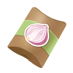 Onion Seed